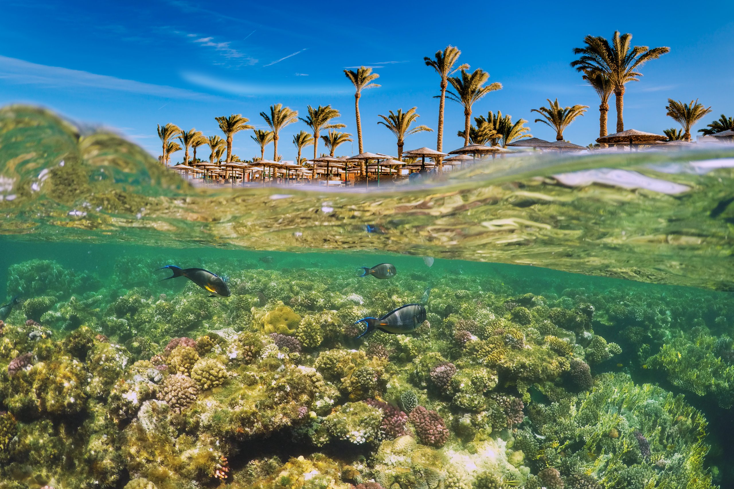 Mar Vermelho: Hurghada, Marsa Alam ou Sharm el-Sheikh