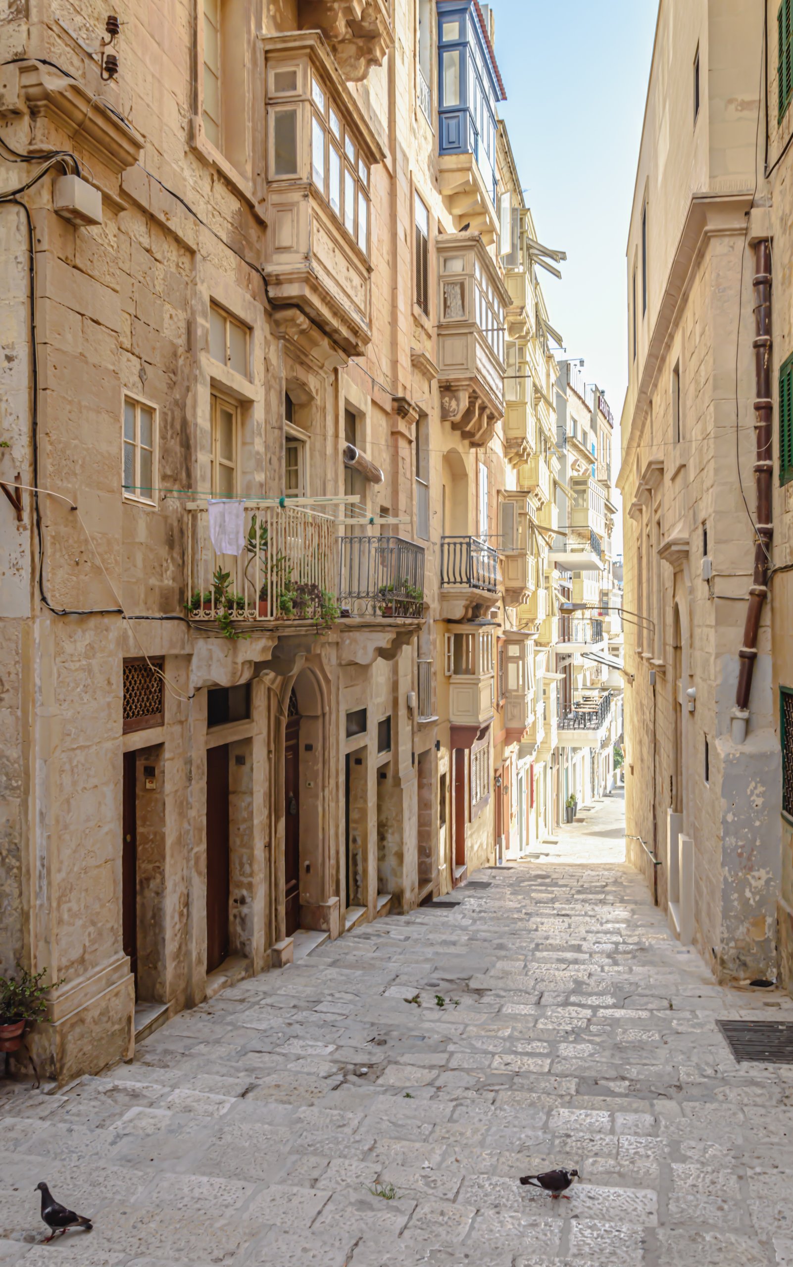 Cruzeiro pelo Mediterrâneo: Malta, Grécia e Itália
